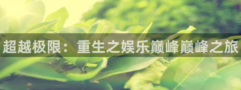 壹号娱乐电子有限公司：超越极限：重生之娱乐巅峰巅峰之旅
