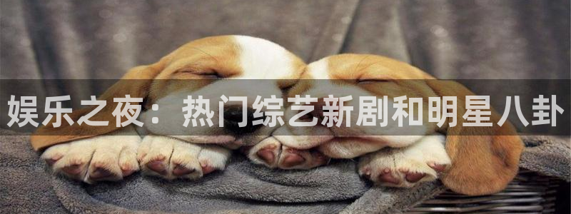 壹号娱乐集团：娱乐之夜：热门综艺新剧和明星八卦