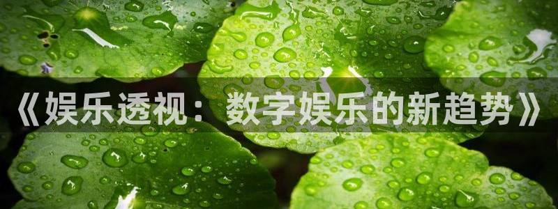 壹号娱乐4登录：《娱乐透视：数字娱乐的新趋势》