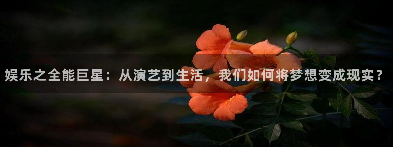 壹号娱乐体育注册代理：娱乐之全能巨星：从演艺到生活，我们如何将梦想变成现实？