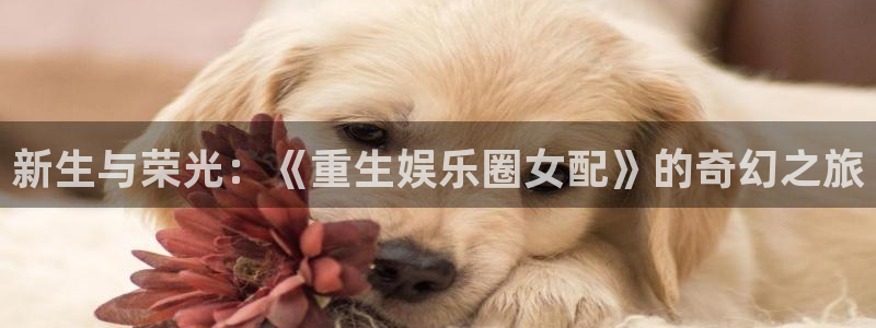 壹号娱乐体育官网登录：新生与荣光：《重生娱乐圈女配》的奇幻之旅