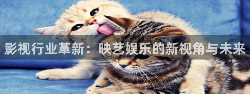 壹号娱乐集团：影视行业革新：映艺娱乐的新视角与未来