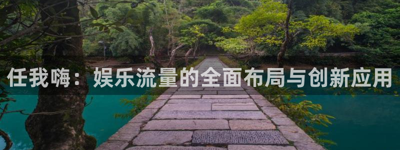 壹号娱乐股份：任我嗨：娱乐流量的全面布局与创新应用