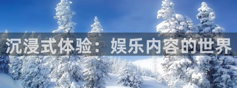 壹号娱乐体育论坛：沉浸式体验：娱乐内容的世界