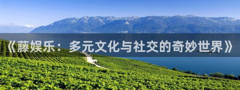 壹号娱乐主管：《藤娱乐：多元文化与社交的奇妙世界》