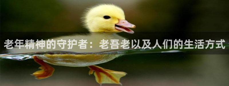 壹号娱乐体育f开号：老年精神的守护者：老吾老以及人们的生活方式